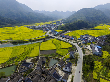 田园风光