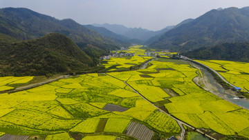 田园风光