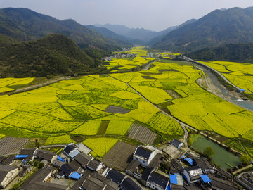 田园风光