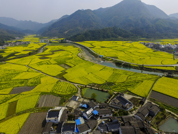 田园风光