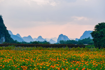 英西峰林花海