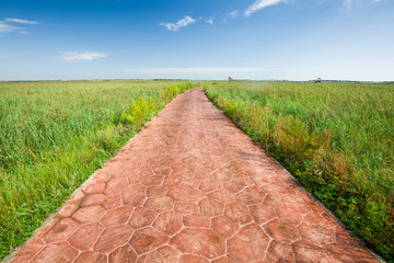 道路