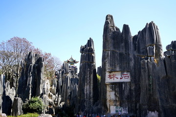 云南石林景区