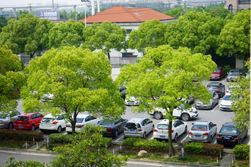 户外停车场 城市绿化