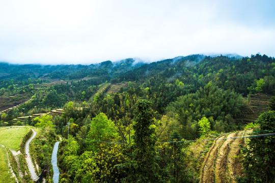 森林远山梯田