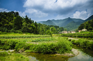 田野风光