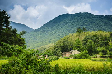 田野风光