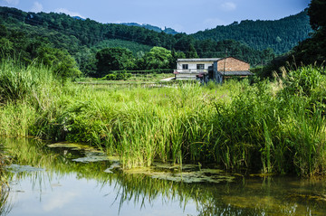 山野风光