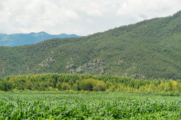 远山