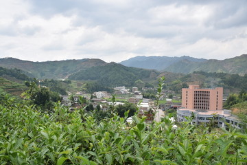 农村