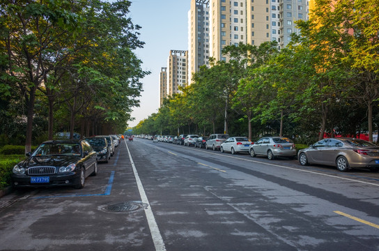 幽静城市道路