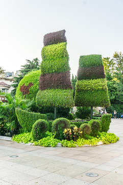 植物景观造型