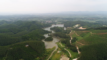 派阳山森林公园