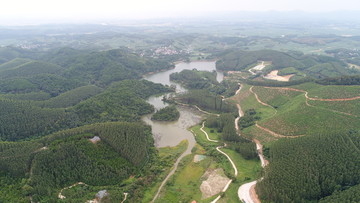 派阳山森林公园