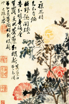 原济（菊花图）