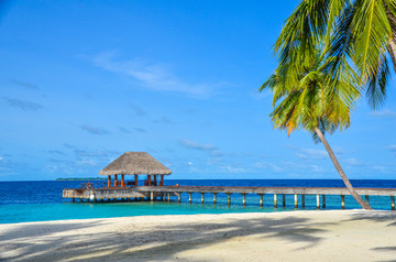 马尔代夫椰岛海岸