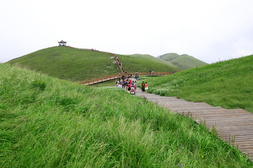 毕节韭菜坪风景区