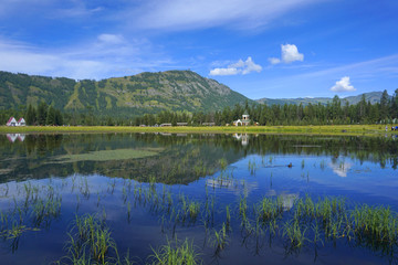 喀纳斯湖光山色