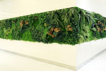 植物墙