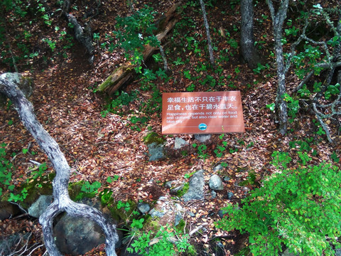 森林公园里的标牌