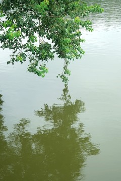 园林湖景