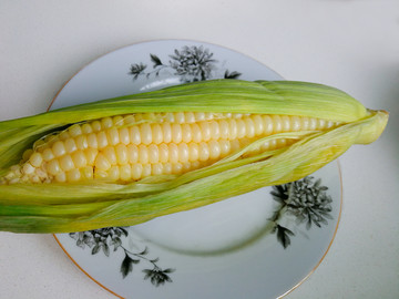 糯玉米