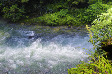 绿水青山