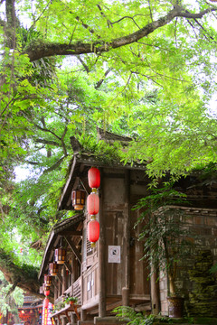 柳江古镇老街木楼