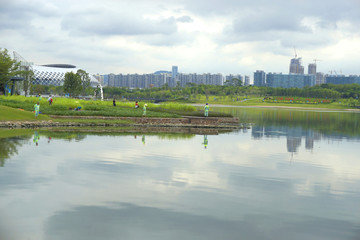 深圳人才公园湖泊的水景园林