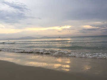 海