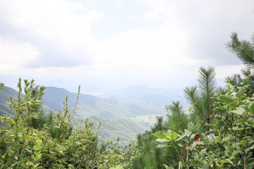 高山草场