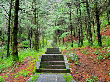 山林登山道