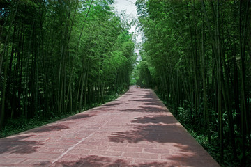 翡翠长廊