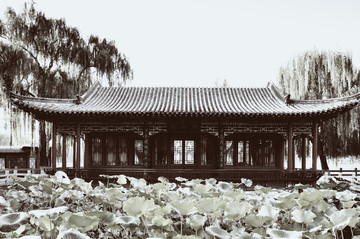 大明湖老照片