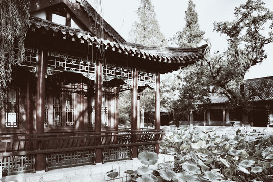 老济南
