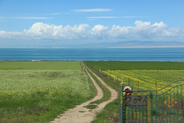 青海湖风景