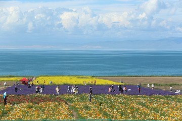 青海湖风景