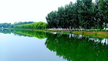河堤