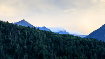 丹巴顶果山原始森林雪峰