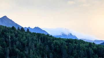 丹巴顶果山原始森林雪峰