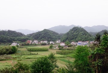 乡村风景