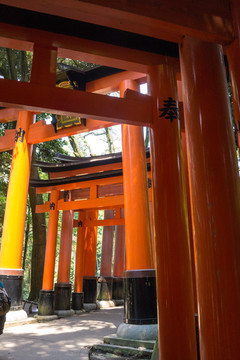 日本寺庙清水寺