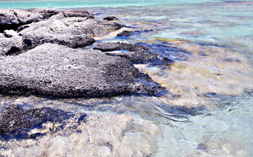 海滨风景海边礁石