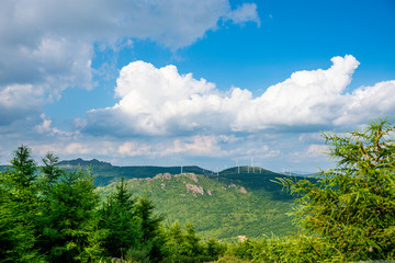 冰山梁