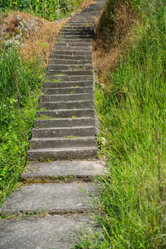 登山石阶