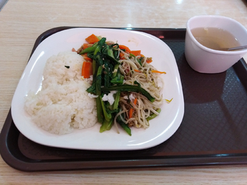 快餐 饭菜 吃饭 豆芽