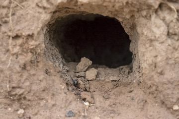 泥土洞穴