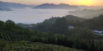 横渡风光