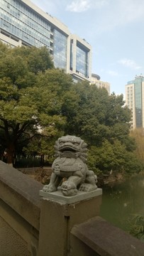 绿化景观