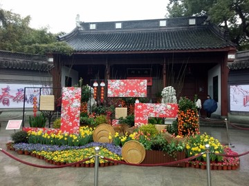 迎春装饰